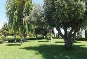 jardines